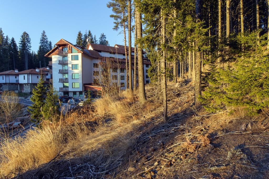 Forest Glade-Апартаменти И Стаи За Гости Pamporovo Exteriör bild