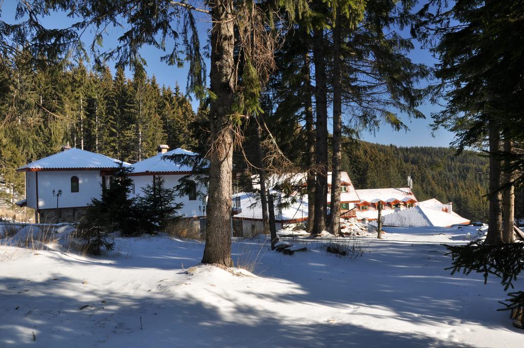Forest Glade-Апартаменти И Стаи За Гости Pamporovo Exteriör bild