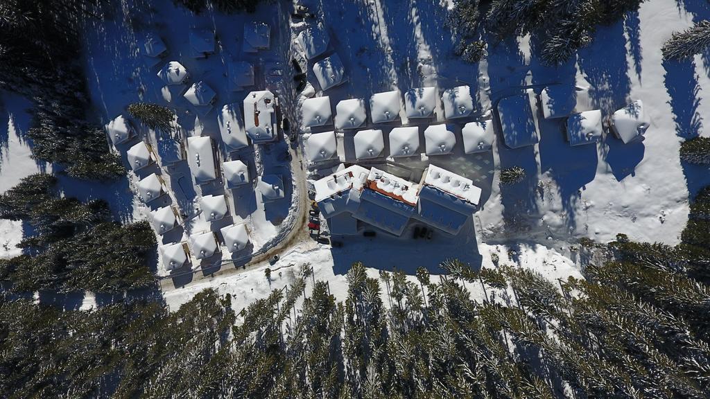 Forest Glade-Апартаменти И Стаи За Гости Pamporovo Exteriör bild